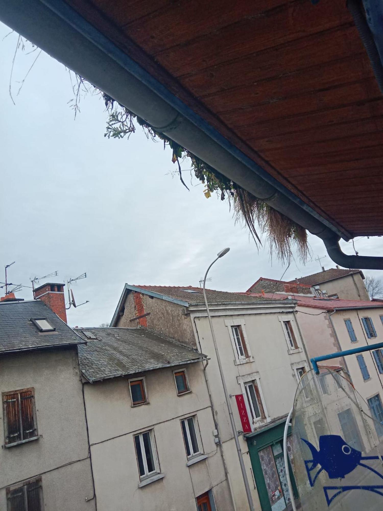 La Coquille D'Or Hotel Aixe-sur-Vienne Exterior foto